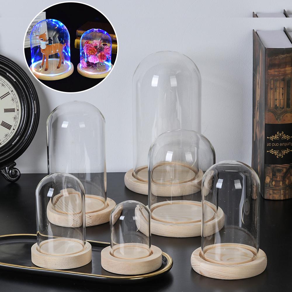 Home Decor Plants Jar Terrariu - Home Decor Vase ulasan dan harga