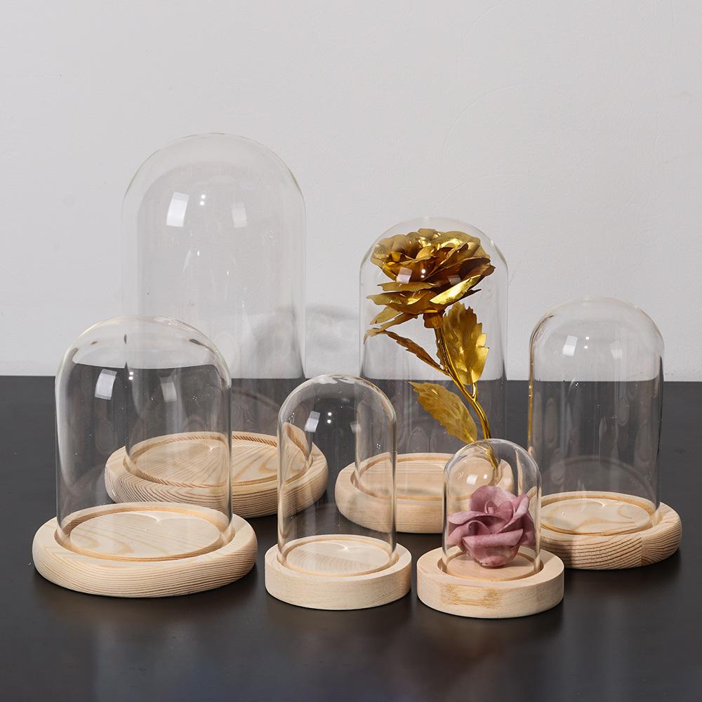Home Decor Plants Jar Terrariu - Home Decor Vase ulasan dan harga
