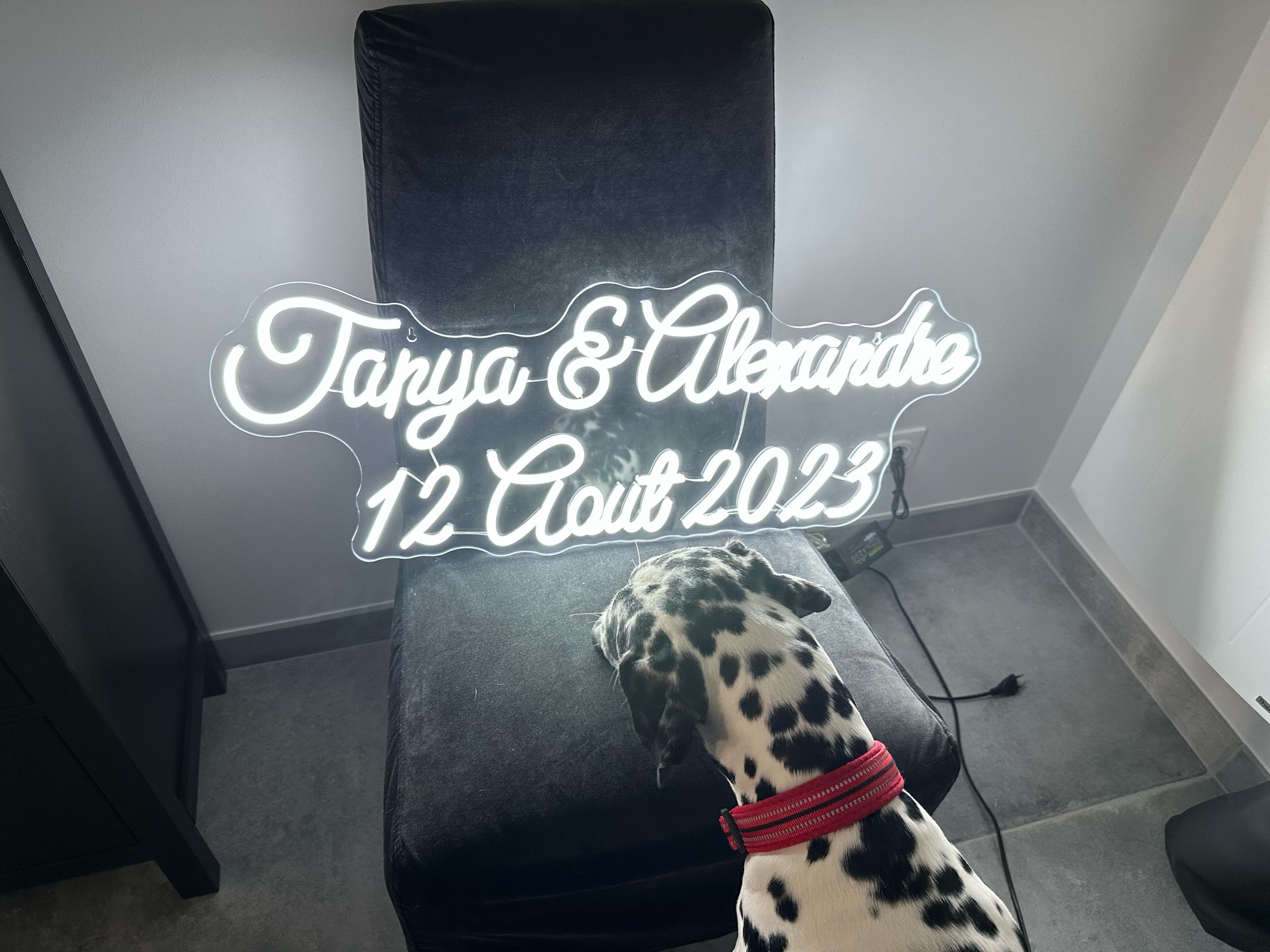 Custom Neon Sign LED Neon Ligh - Home Decor Logo Design ulasan dan harga